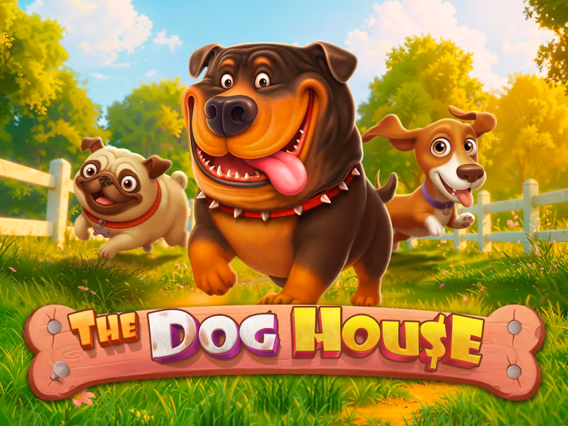 The Dog House